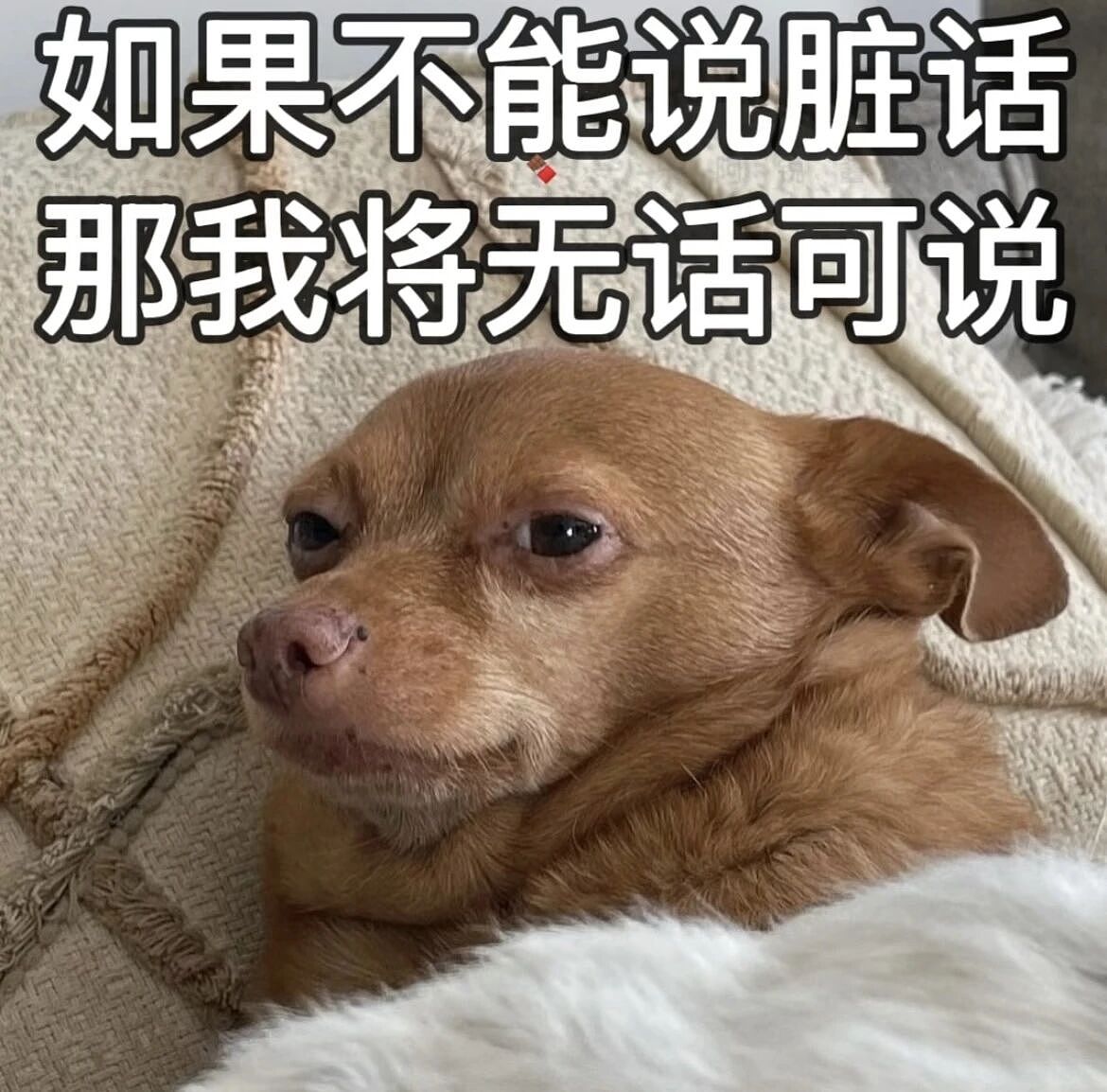 【爆笑】男朋友给前任介绍了一份月入过万的工作…？啊啊啊没有一个省油的灯（组图） - 2