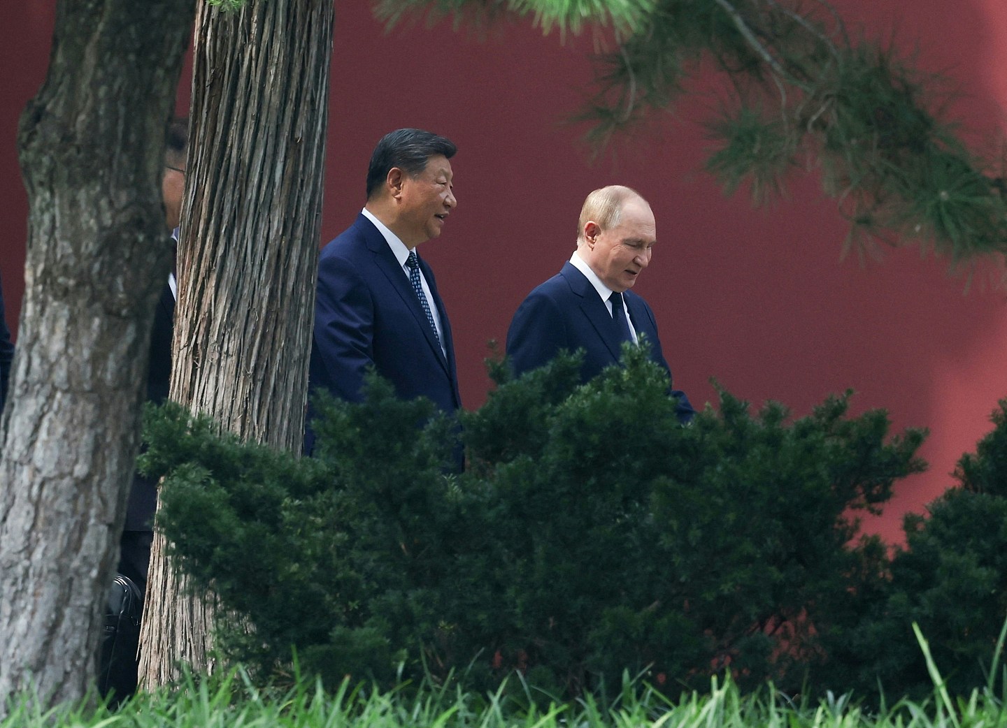 普京专车罕见换上中国车牌！“两个8”惹网民热议（组图） - 9