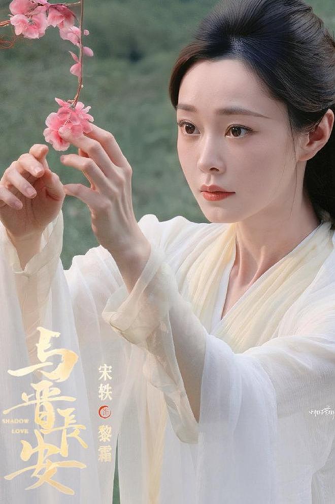 宋轶否认整容 ,出道16年10部作品,狐系美人的颜值真的变了吗(组图) - 43