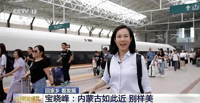 九三阅兵幕后解说员揭晓！原来是他们两位，都是央视知名主持人（组图） - 7