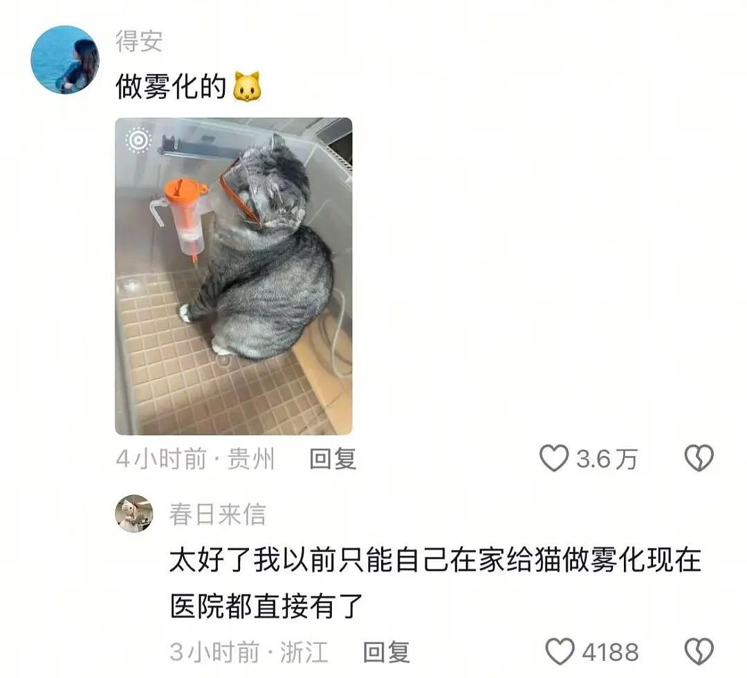 新型“销金窟”，捞了中国人3000亿？（组图） - 9