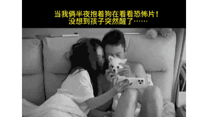 【宠物】网友半夜抱狗看恐怖片，没想到娃醒了站在他们后面，把狗给吓飞了…狗：这狗不当也罢（组图） - 1