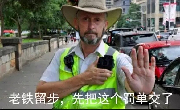 当心!莫名其妙被罚500刀!澳洲这些冷交规你不知道,分分钟罚得你兜比脸还干净!(组图) - 6