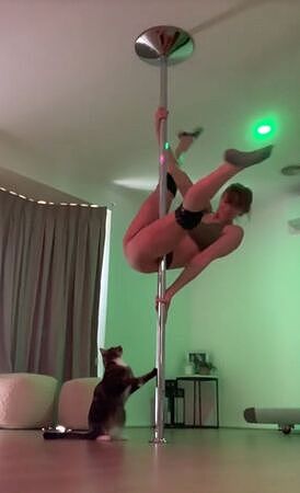 澳洲正妹穿bra跳钢管舞!猫主子突袭下体,影片爆红一票奴才帮护航(视频/组图) - 2