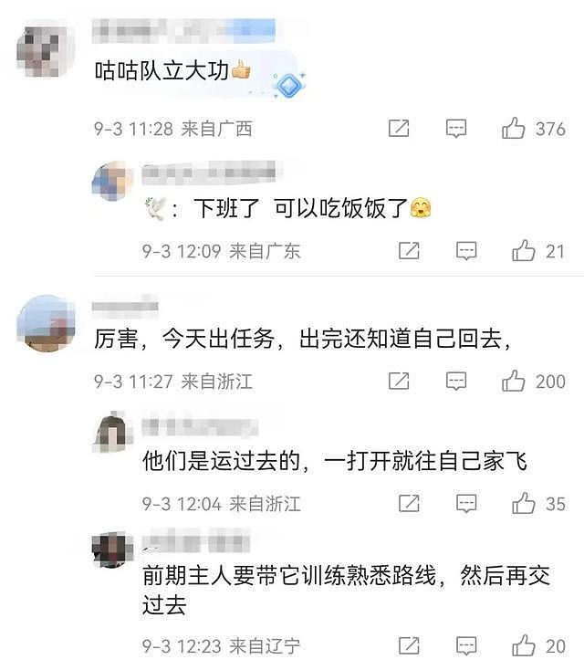 “阅兵结束10多分钟后,第一批放飞的和平鸽就到家洗澡了”(组图) - 12