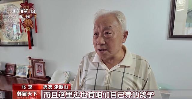 “阅兵结束10多分钟后,第一批放飞的和平鸽就到家洗澡了”(组图) - 9