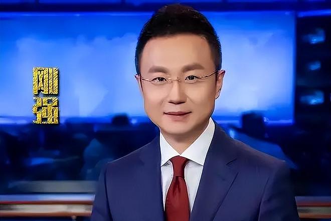 九三阅兵幕后解说员揭晓！原来是他们两位，都是央视知名主持人（组图） - 14