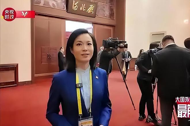 九三阅兵幕后解说员揭晓！原来是他们两位，都是央视知名主持人（组图） - 12