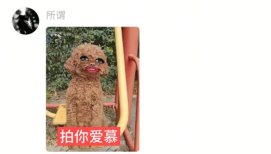 【宠物】网友半夜抱狗看恐怖片，没想到娃醒了站在他们后面，把狗给吓飞了…狗：这狗不当也罢（组图） - 18