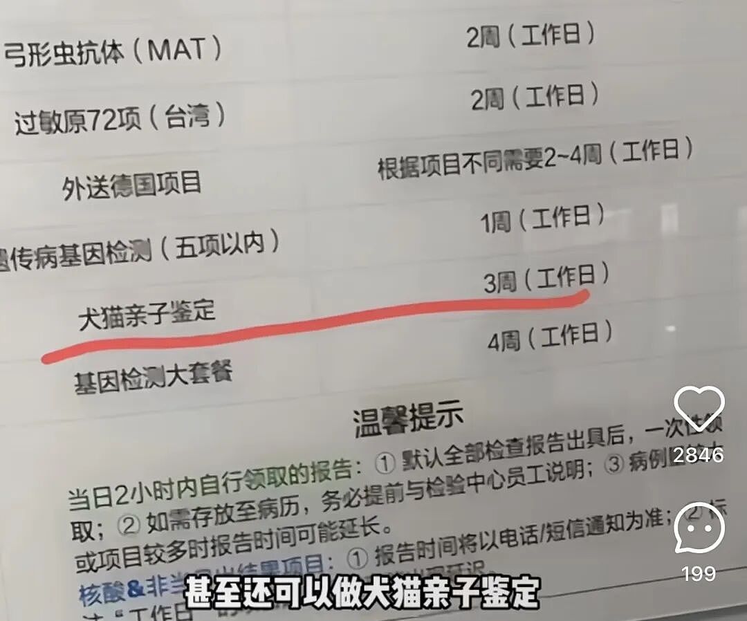 新型“销金窟”，捞了中国人3000亿？（组图） - 5