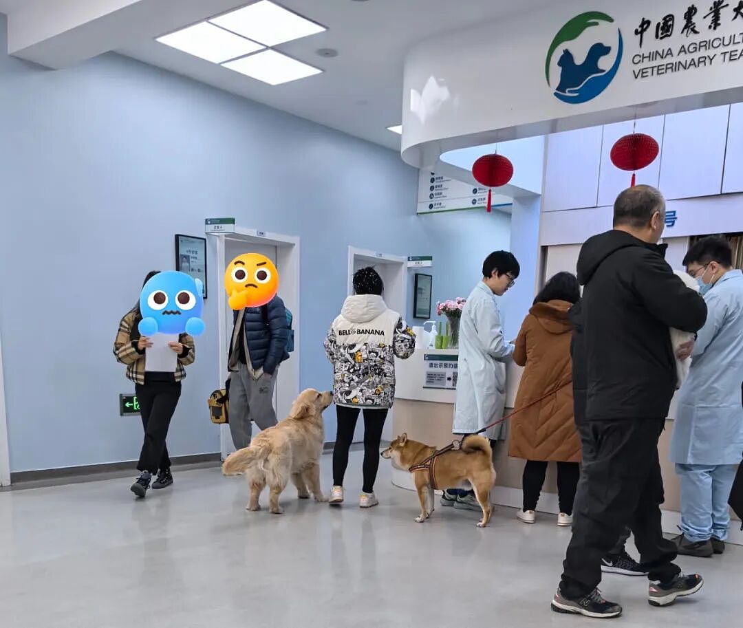 新型“销金窟”，捞了中国人3000亿？（组图） - 3