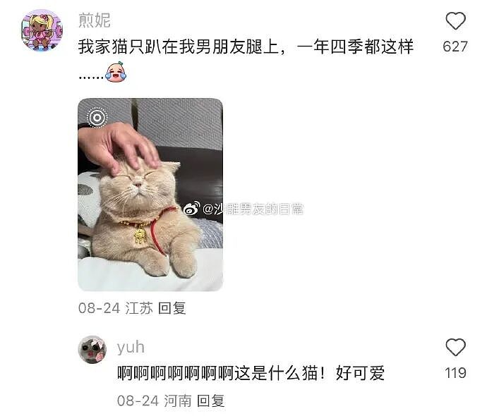 【爆笑】把女朋友的手链送给女同事了,被发现了怎么办?(组图) - 36