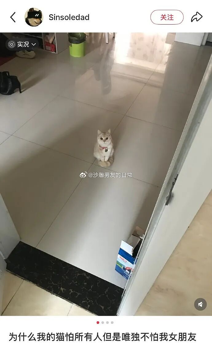 【爆笑】把女朋友的手链送给女同事了,被发现了怎么办?(组图) - 32