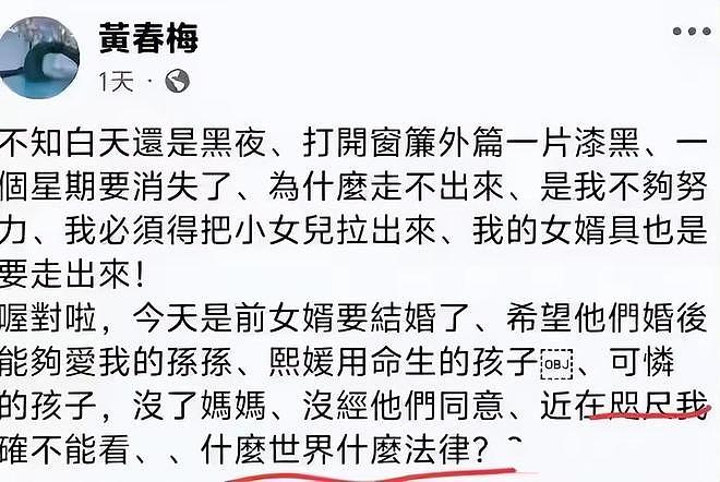 汪小菲拒绝和S妈见面，黄春梅剑指“监护权”，她的目标不是孩子（组图） - 9