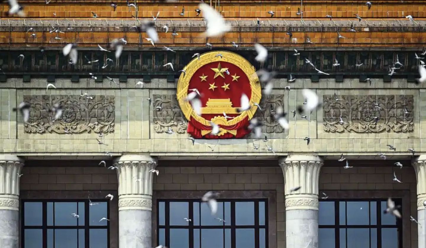 陆阅兵向市民征集8万只和平鸽，“放飞即下班”10分钟到家（组图） - 3