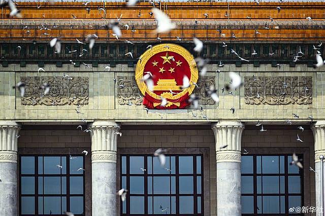“阅兵结束10多分钟后,第一批放飞的和平鸽就到家洗澡了”(组图) - 8