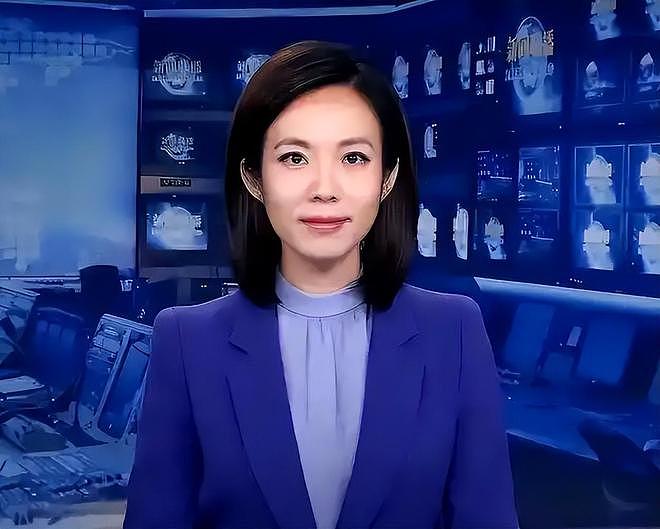 九三阅兵幕后解说员揭晓！原来是他们两位，都是央视知名主持人（组图） - 16