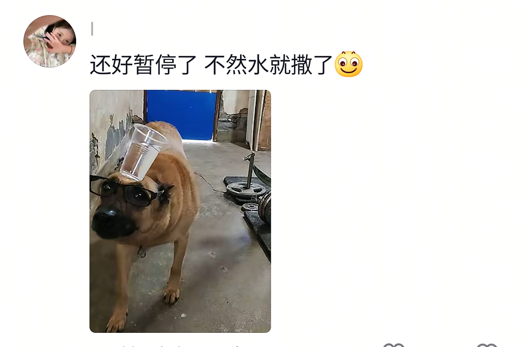 【宠物】网友半夜抱狗看恐怖片，没想到娃醒了站在他们后面，把狗给吓飞了…狗：这狗不当也罢（组图） - 26