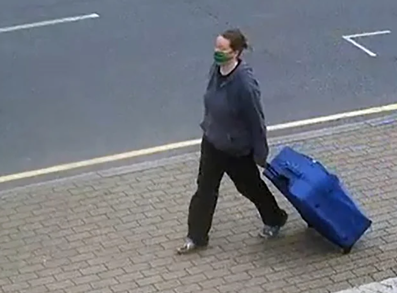 英国惊现无头女尸！华裔老太被英国闺蜜杀害抛尸，凶手还是获奖解剖专家…（组图） - 5