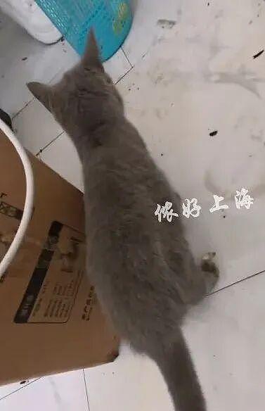 上海一房东崩溃!“00后”情侣租客失联,打开房门直呼“辣眼睛”(组图) - 4