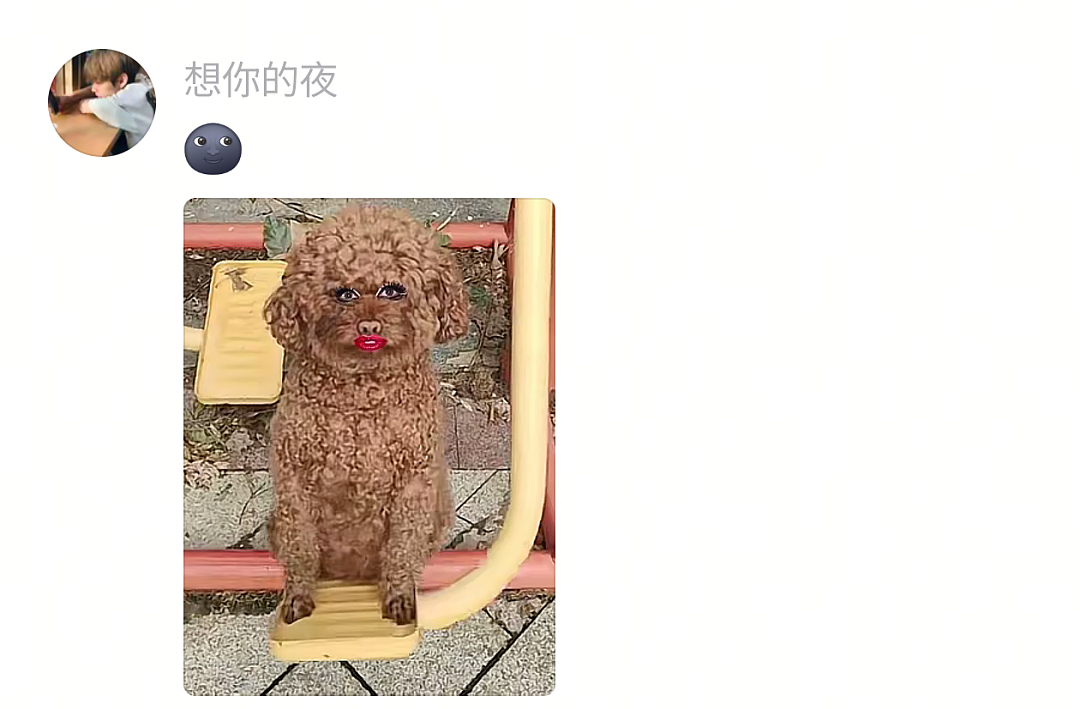 【宠物】网友半夜抱狗看恐怖片，没想到娃醒了站在他们后面，把狗给吓飞了…狗：这狗不当也罢（组图） - 17