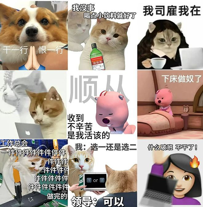 何广智凭“到长安”夺冠,“牛马打工人”拯救暑期档影剧综?(组图) - 4