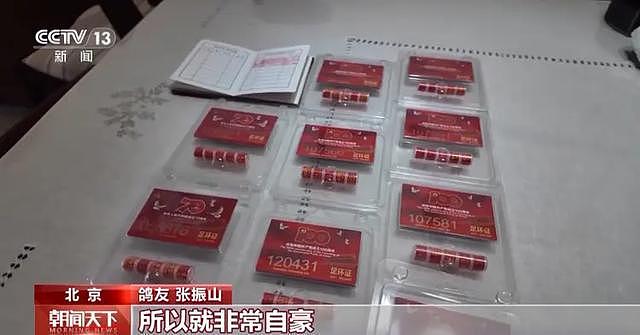 “阅兵结束10多分钟后,第一批放飞的和平鸽就到家洗澡了”(组图) - 10