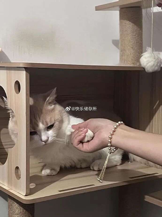 【爆笑】把女朋友的手链送给女同事了,被发现了怎么办?(组图) - 3