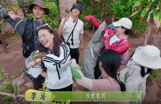 这可是综艺镜头啊，37岁马思纯素颜状态：面相变了跟换了魂一样（组图） - 3