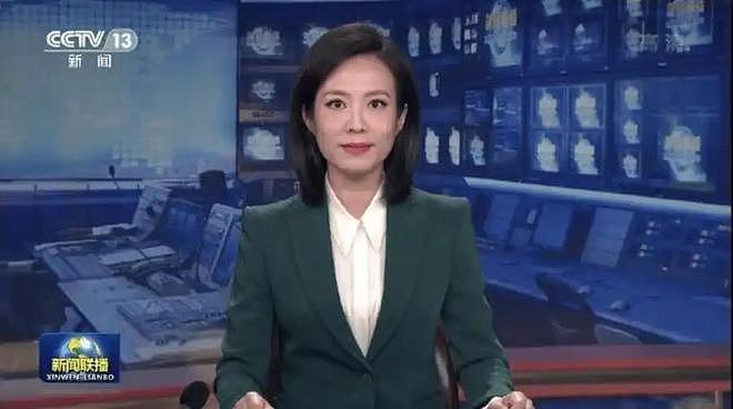 九三阅兵幕后解说员揭晓！原来是他们两位，都是央视知名主持人（组图） - 11