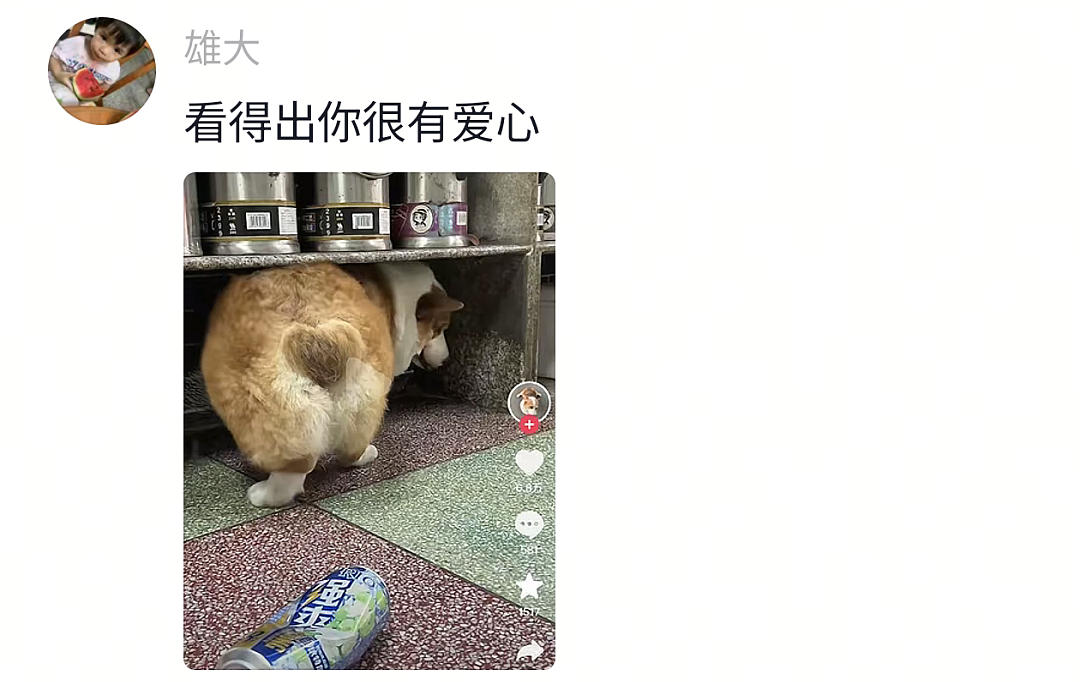 【宠物】网友半夜抱狗看恐怖片，没想到娃醒了站在他们后面，把狗给吓飞了…狗：这狗不当也罢（组图） - 15