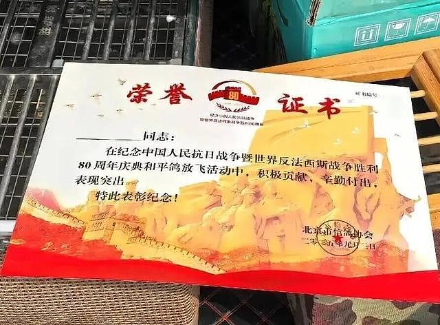 “阅兵结束10多分钟后,第一批放飞的和平鸽就到家洗澡了”(组图) - 11