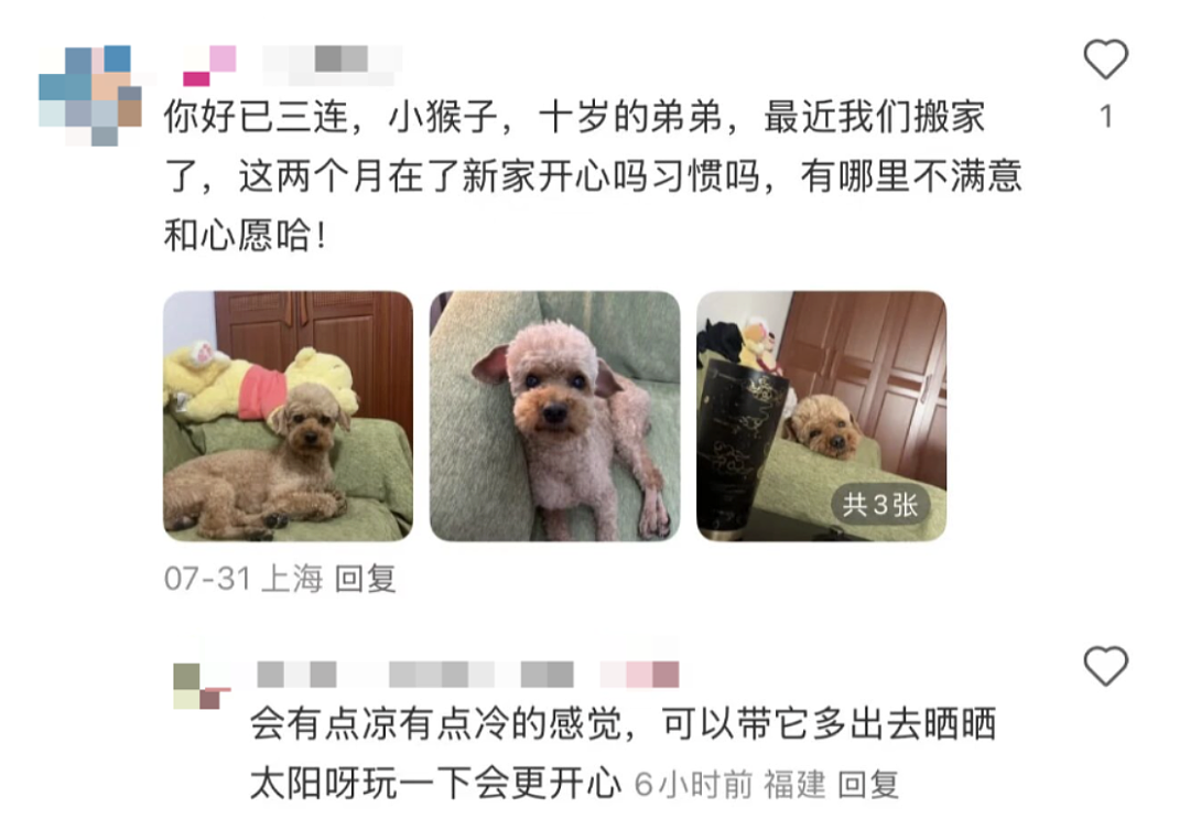 新型“销金窟”，捞了中国人3000亿？（组图） - 16