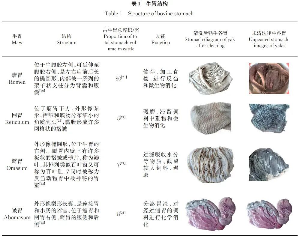 吃火锅涮毛肚，“七上八下”靠谱吗？到底要涮多长时间？（组图） - 2