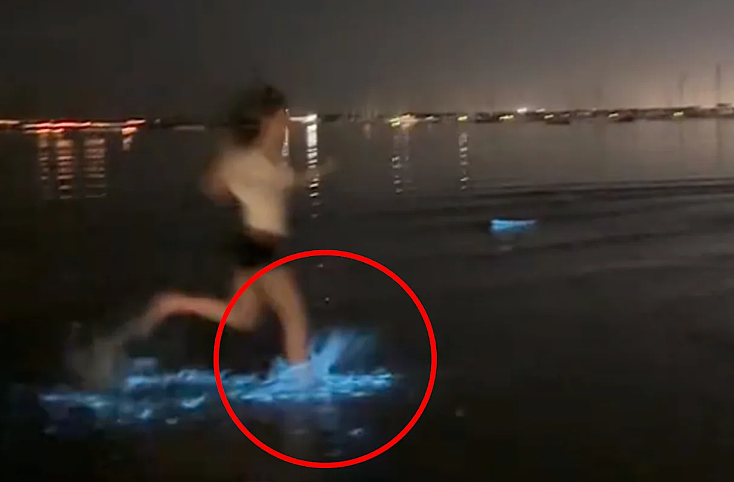 周董昆凌都在!大批澳洲华人深夜“追泪”,已经有人中招(视频/组图) - 2