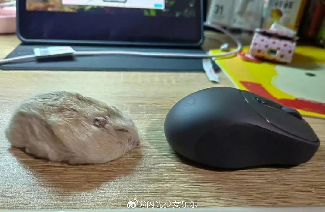 【爆笑】大早上收到男友妈妈这样的短信…?啊啊啊这段位也太高了吧(组图) - 38