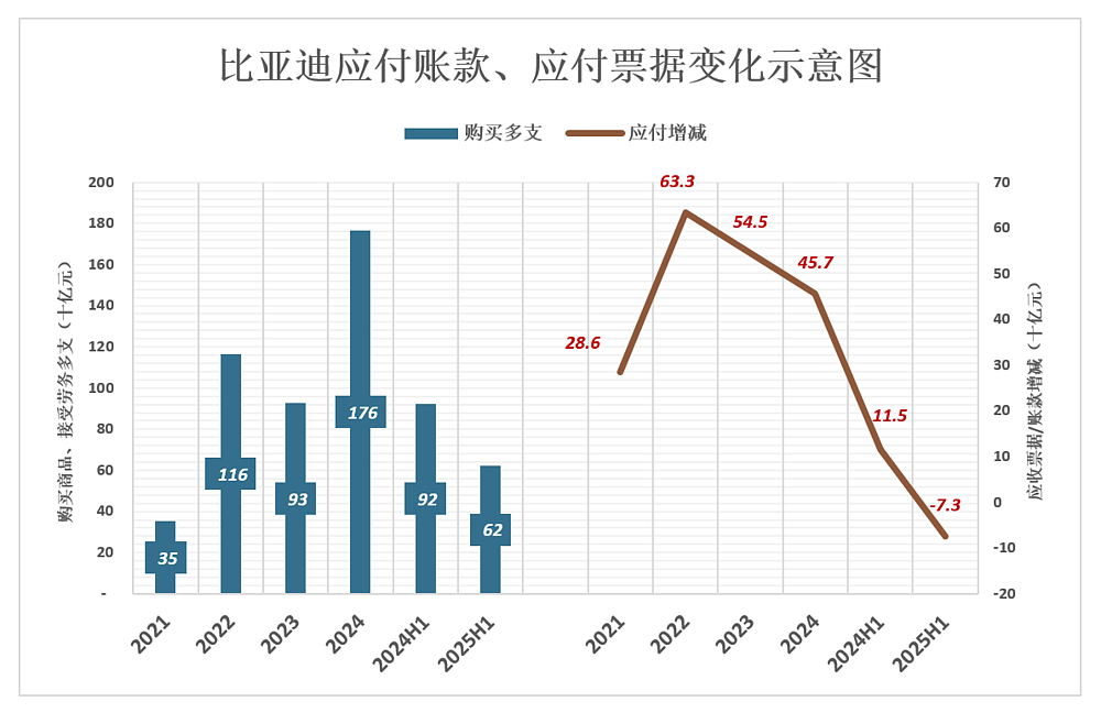 “不及预期”的比亚迪，隐形的“另一半”（组图） - 6