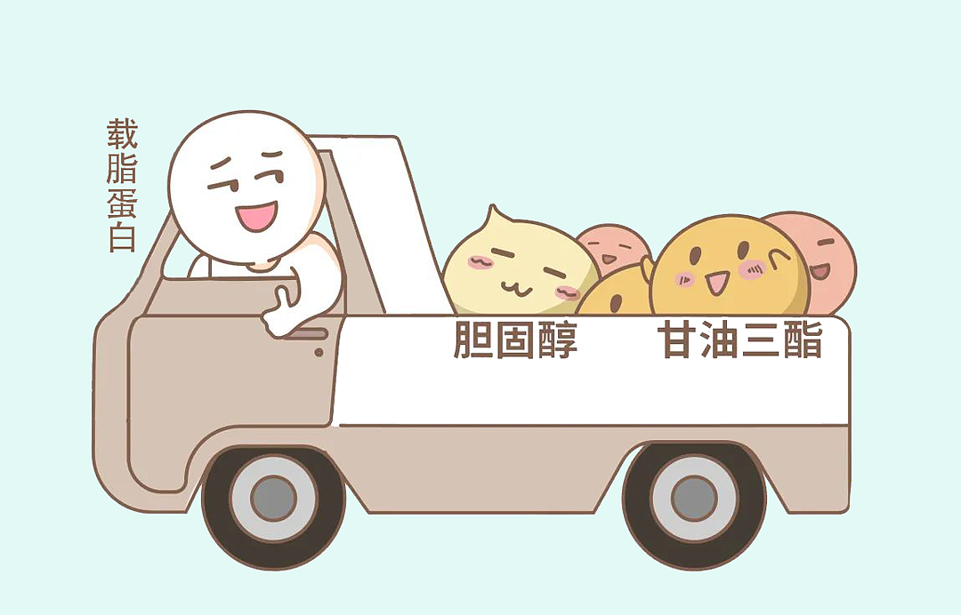 血脂超标的中青年，老了以后会发生什么？（组图） - 3