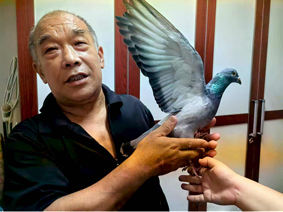 “阅兵的鸽子还有几只没到家”,今天千万网友全在追更(组图) - 6