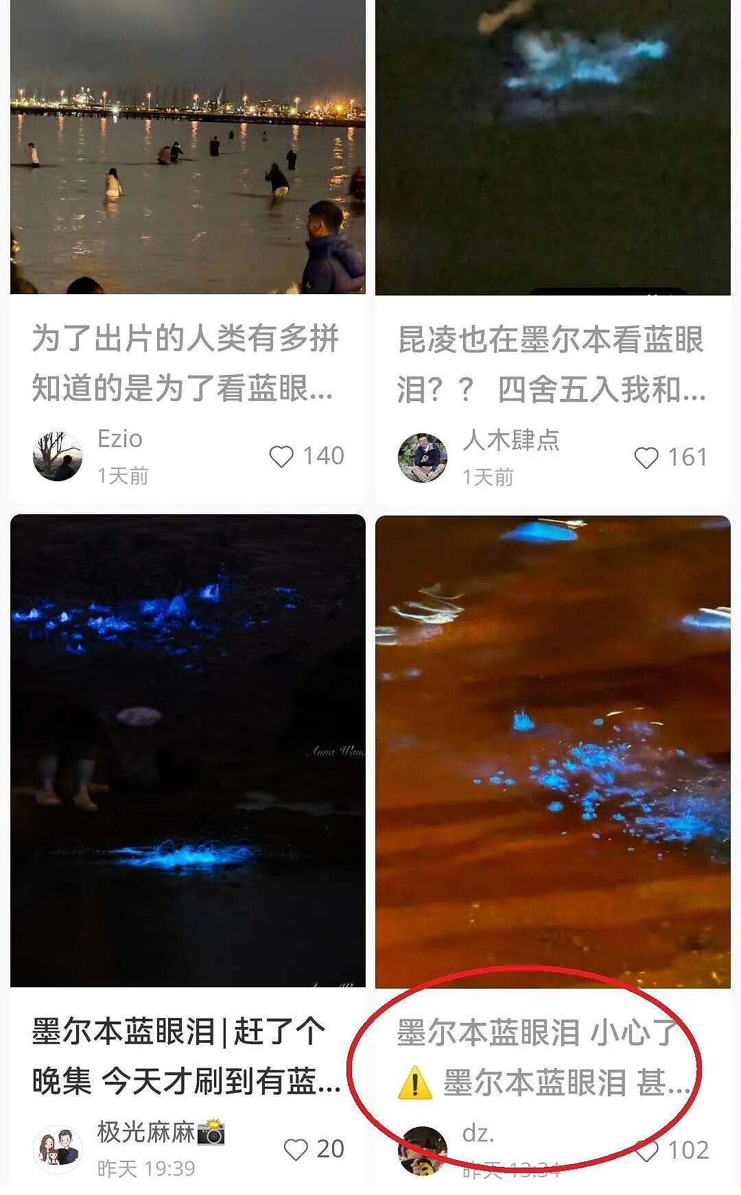 周董昆凌都在!大批澳洲华人深夜“追泪”,已经有人中招(视频/组图) - 7