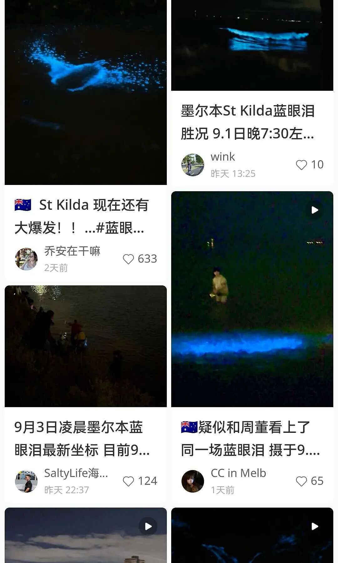 周董昆凌都在!大批澳洲华人深夜“追泪”,已经有人中招(视频/组图) - 3