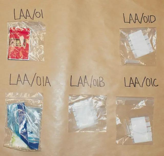 偷拍、迷奸…又有中国留学生涉嫌连环性侵!受害者恐超百人(视频/组图) - 8