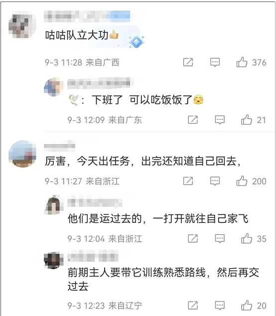“阅兵的鸽子还有几只没到家”,今天千万网友全在追更(组图) - 3