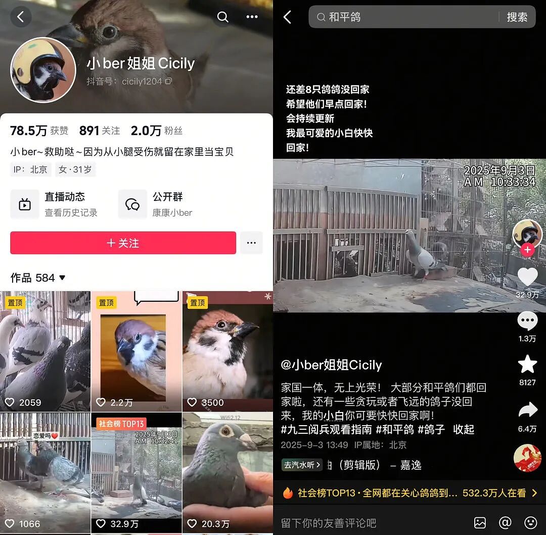 “阅兵的鸽子还有几只没到家”,今天千万网友全在追更(组图) - 4