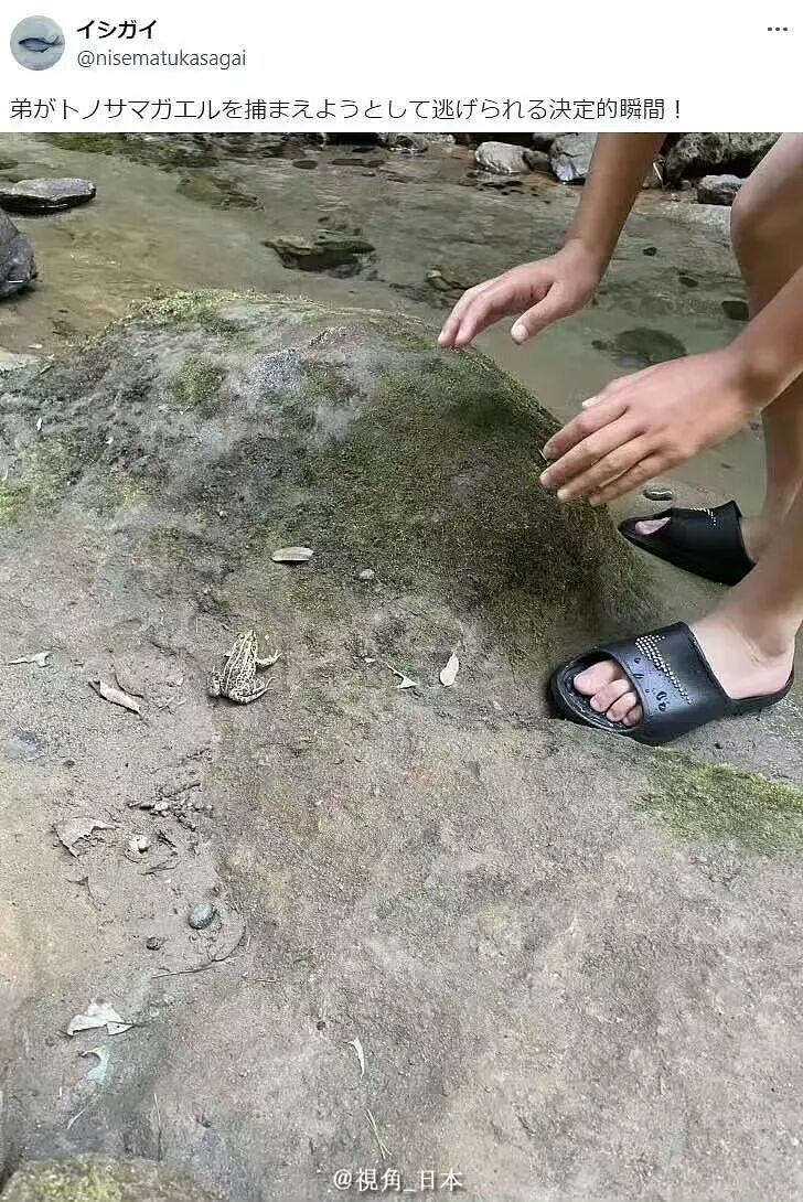【爆笑】“当你发现同事的工资比你少1w....” 哈哈哈哈哈哈哈打开了一本名为刻薄的书（组图） - 52