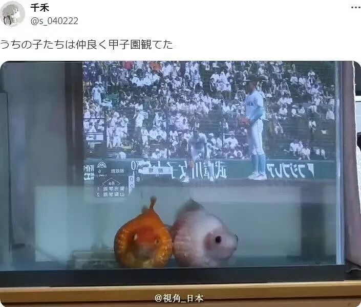 【爆笑】“当你发现同事的工资比你少1w....” 哈哈哈哈哈哈哈打开了一本名为刻薄的书（组图） - 50