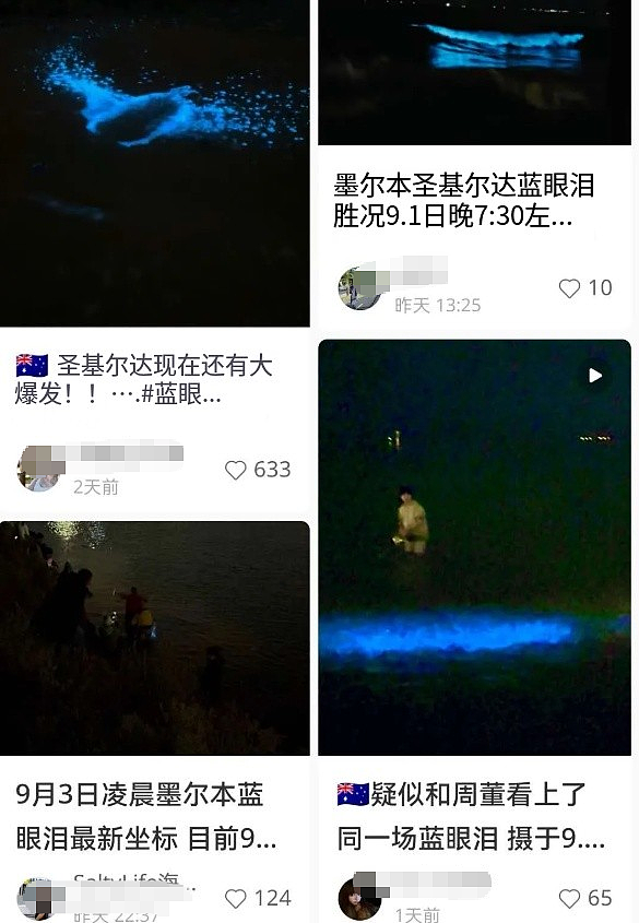 周杰伦昆凌都在!大批华人澳洲深夜扎堆!暗藏风险,已有人中招(组图) - 2