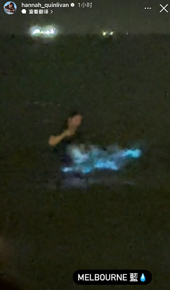 周杰伦昆凌都在!大批华人澳洲深夜扎堆!暗藏风险,已有人中招(组图) - 4