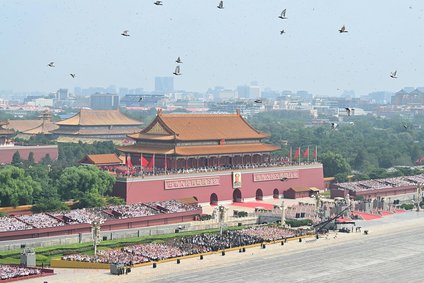 中国阅兵,8万和平鸽如何回家?专家:可靠地磁或太阳定位等(组图) - 2