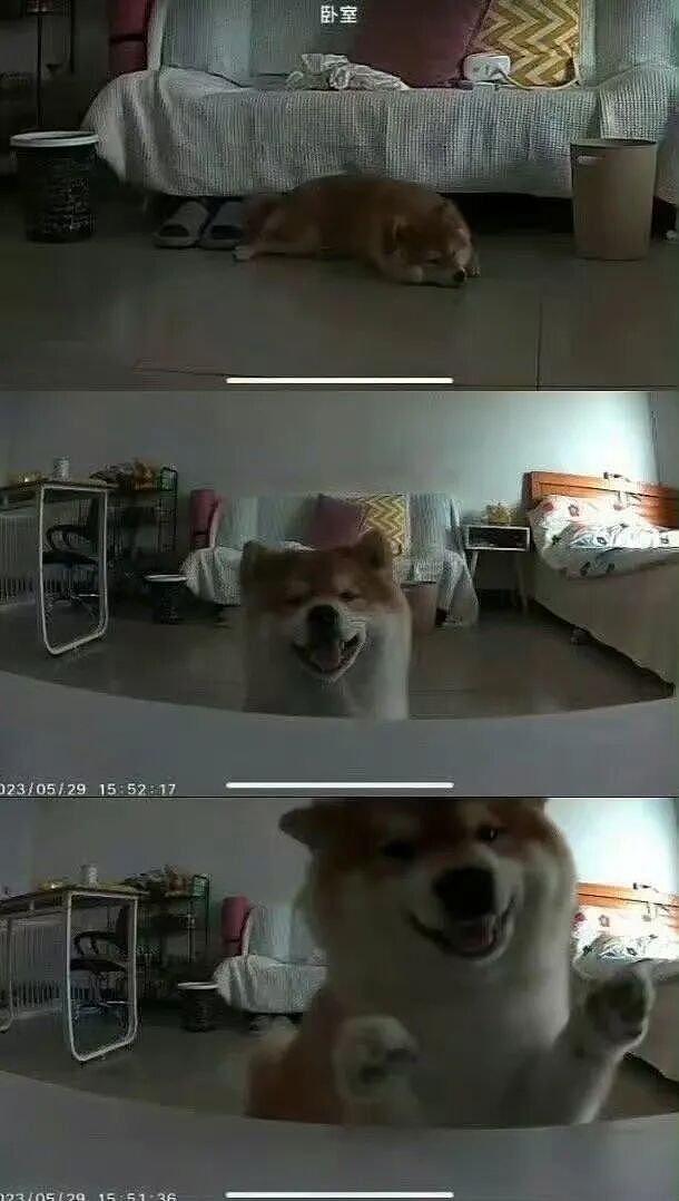 【爆笑】“当你发现同事的工资比你少1w....” 哈哈哈哈哈哈哈打开了一本名为刻薄的书（组图） - 103